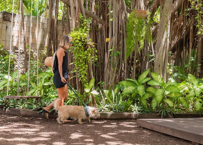 Hotel Casa Colonial Cozumel-Dog Friendly