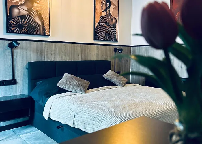 B&B Prachtig Allemachtig Valkenburg aan de Geul