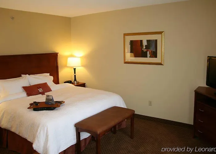 Warren Hotels