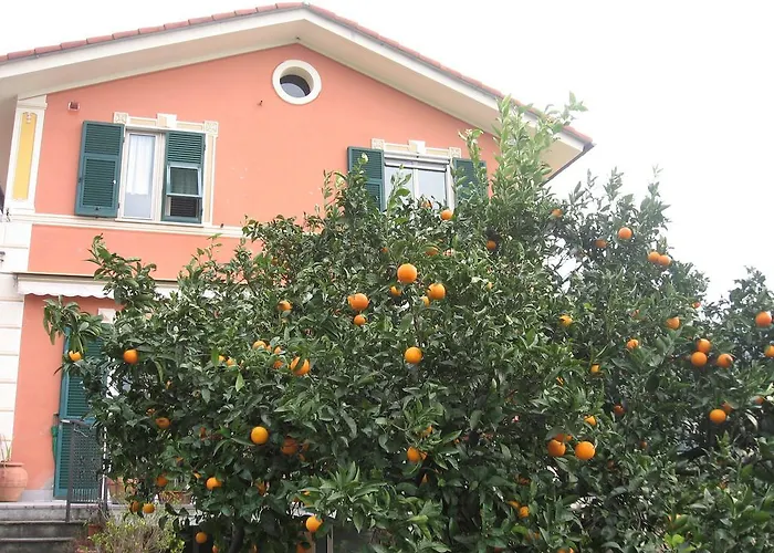 Le Clementine B&B Camogli