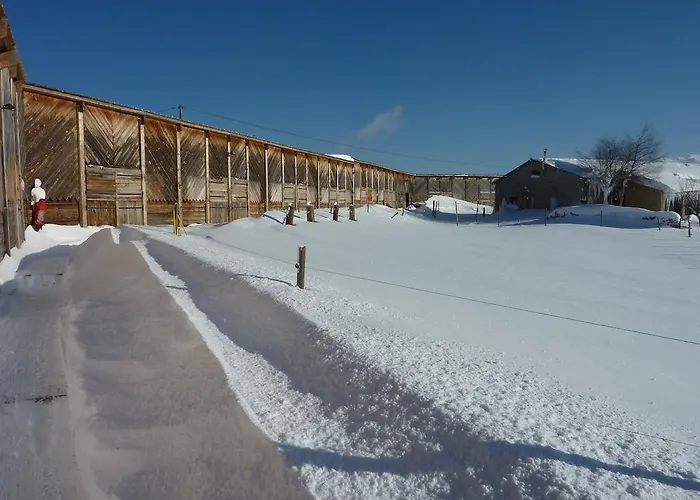 Gîte Equisud - Demi-pension inclus Les Angles 