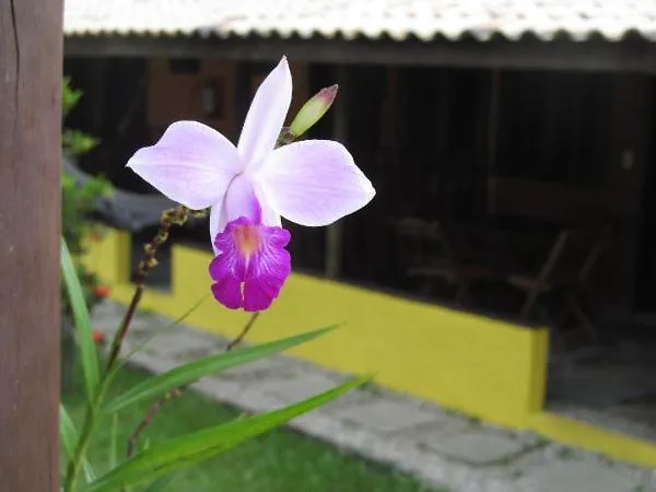 Pousada Lugar Comum Boicucanga