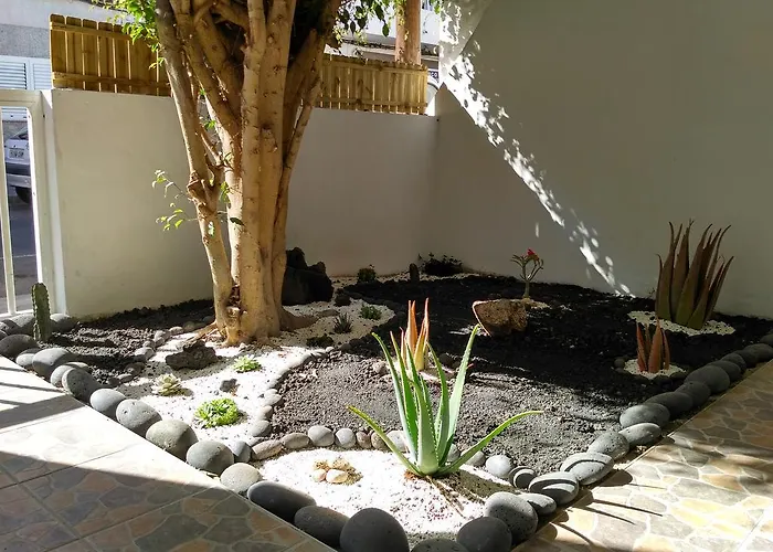 Greentree House Corralejo