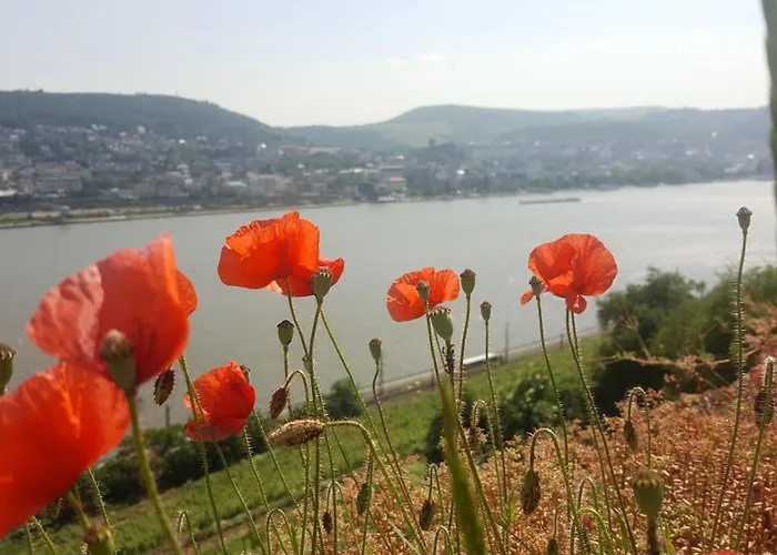 B&B Ruthmann-Rheinblick
