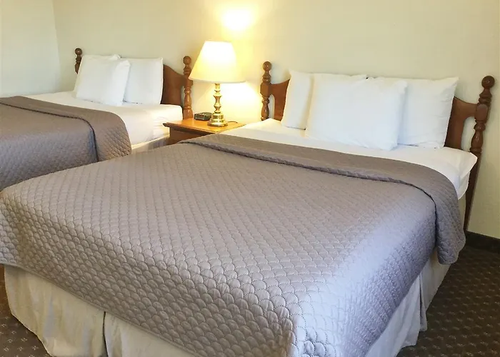 Cabool Hotels