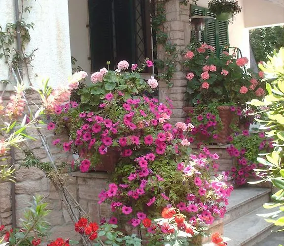 La Zattera Camere San Vincenzo