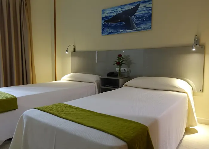 Hotel Andrea'S Los Cristianos 