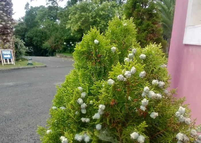 Quinta De Sao Francisco