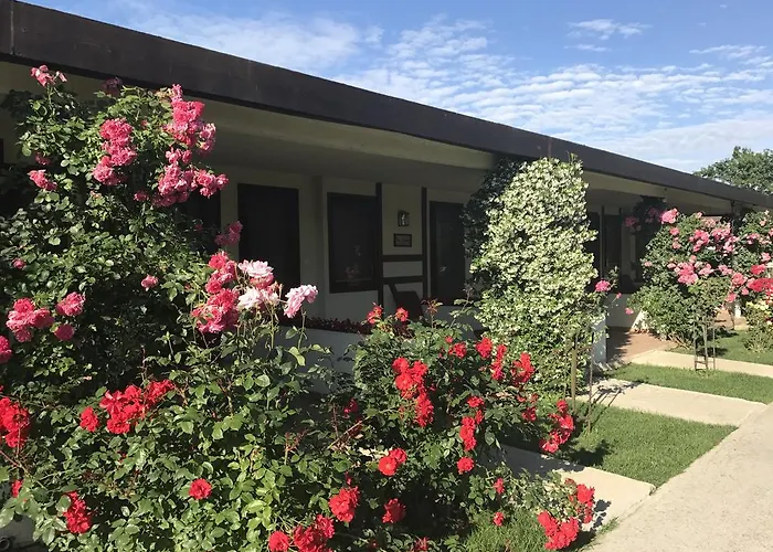 Hotels in Hüseyinli