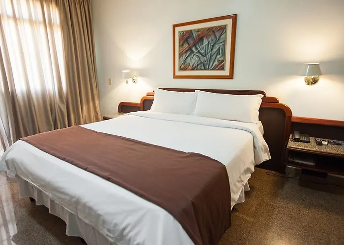 Dimas Lessa Hotel Montes Claros