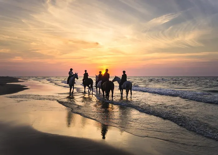 Hôtels à Hardelot-Plage