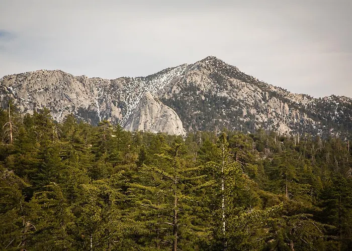Idyllwild Camping Resort Cabin