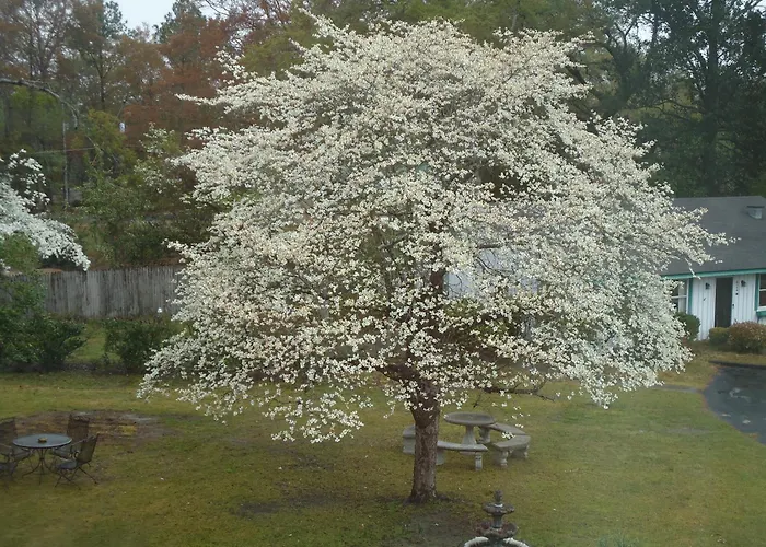 Edenfield House Bed & Breakfast Swainsboro