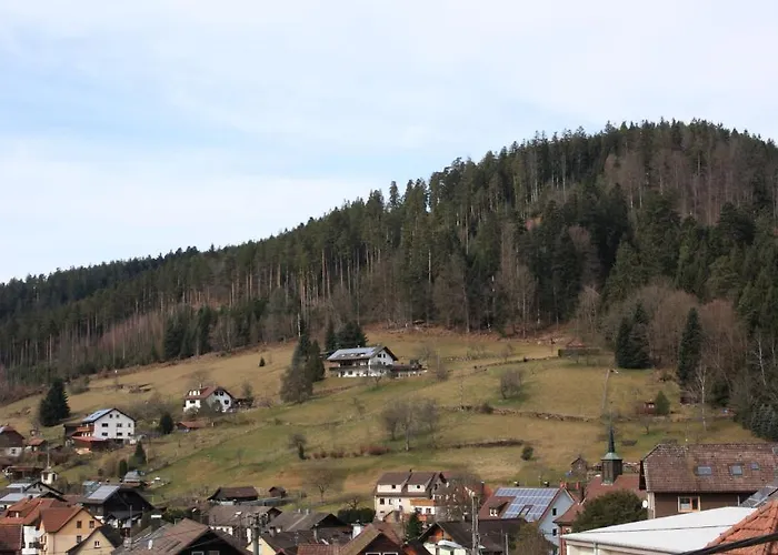 Schwarzwald-Gasthof Hirsch Bad Wildbad