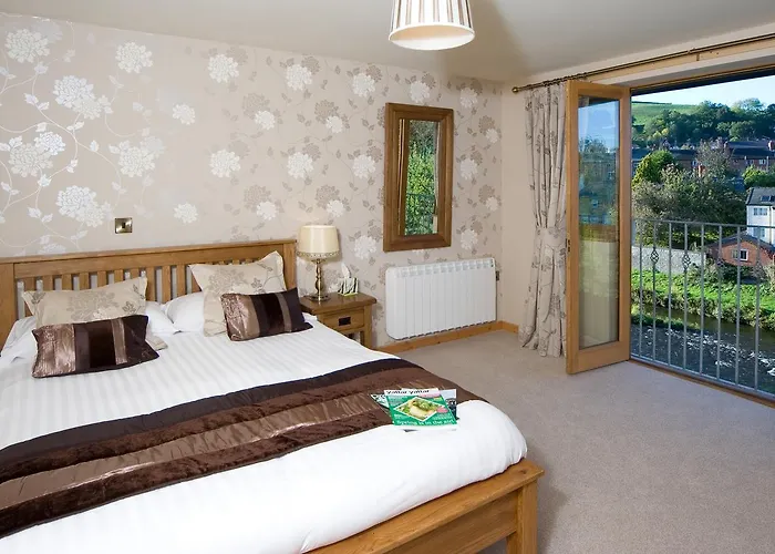 Newtown (Powys) Hotels