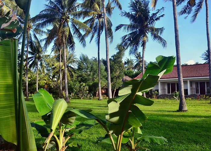 Hôtels à Gili Meno