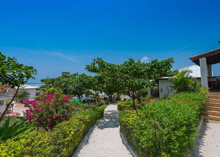 Warere Beach Nungwi