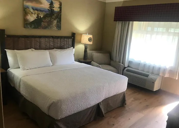 The Appy Lodge Gatlinburg