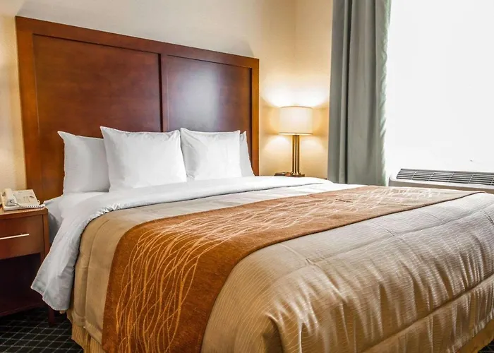 Comfort Inn & Suites Oakland Airport