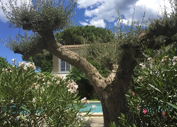 Villa La Begude - Boutique B&B Saint-Tropez