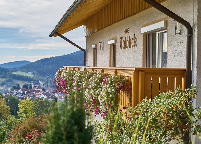 Hotel Haus Talblick Bodenmais