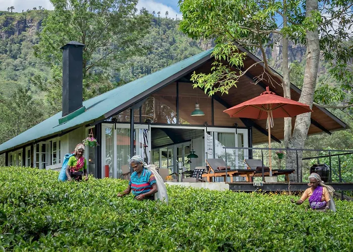 Madulkelle Tea And Eco Lodge Kandy