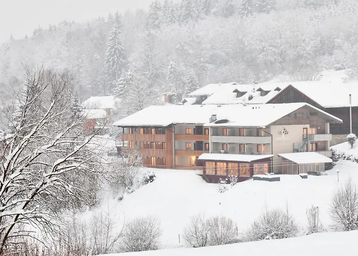 Hotel der Bäume Drachselsried