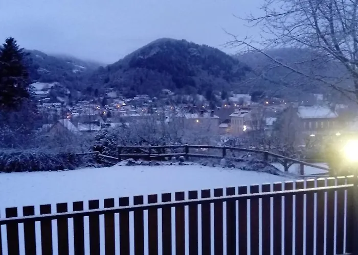 Hotel St Joseph Vic-sur-Cère