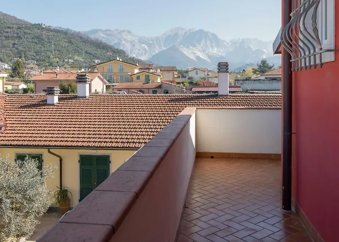 Merlo d'Oro Carrara
