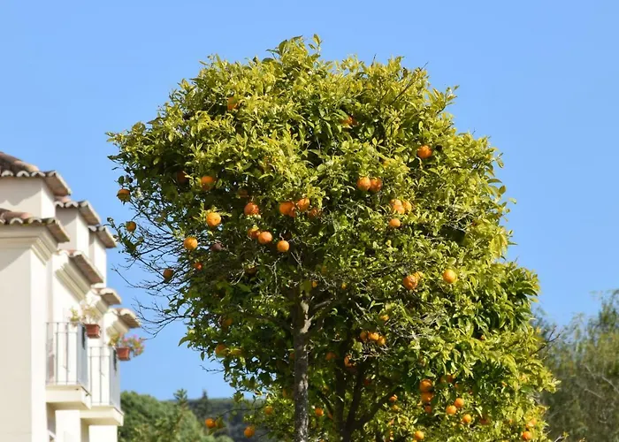 Quinta De Catralvos Hotel Azeitão