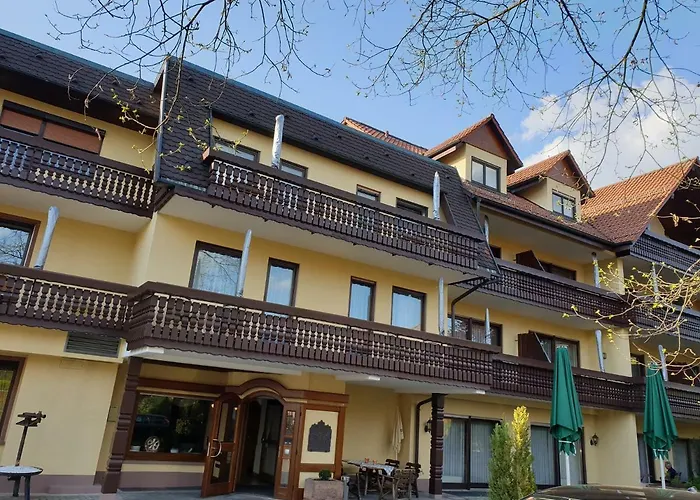 Ringhotel Pflug Oberkirch 