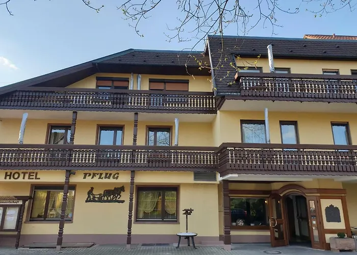 Ringhotel Pflug Oberkirch 