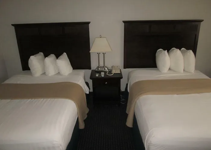 The Avenue Hotel