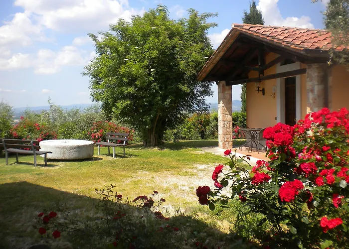 Il Poggio Degli Olivi