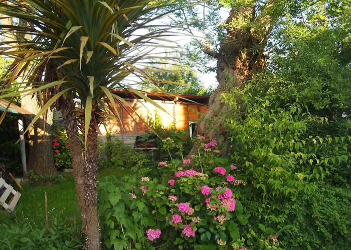 Chambres D'Hotes Les 4 Chemins Trouville-sur-Mer