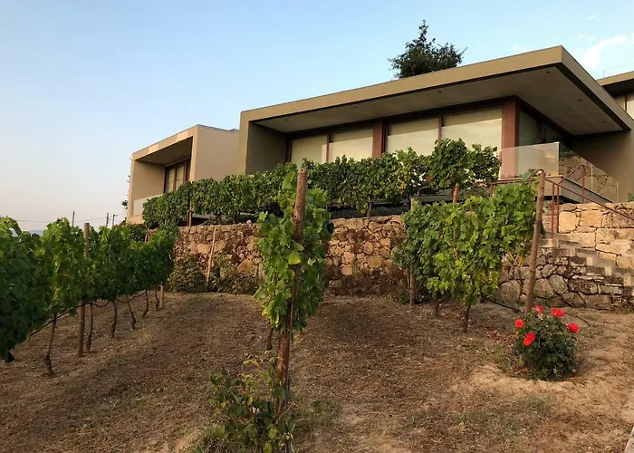 Vald'arêgos - Douro Hotel Resende