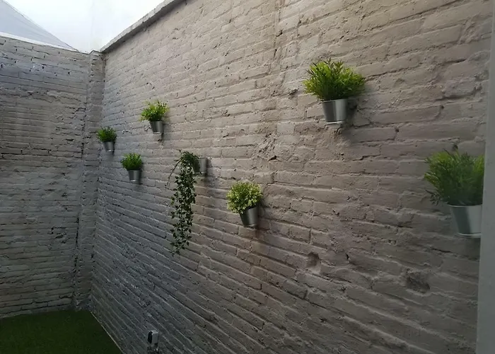 Florista Bonito Alojamiento Bien Comunicado Hotel Valencia