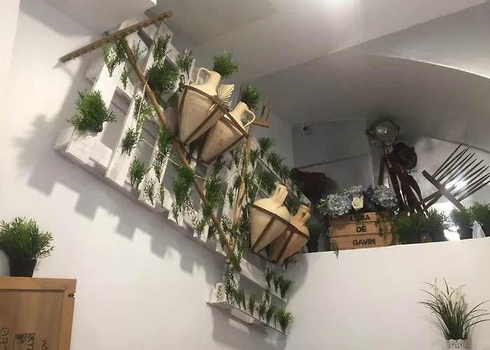 Hostal Boutique Luna de Gavín