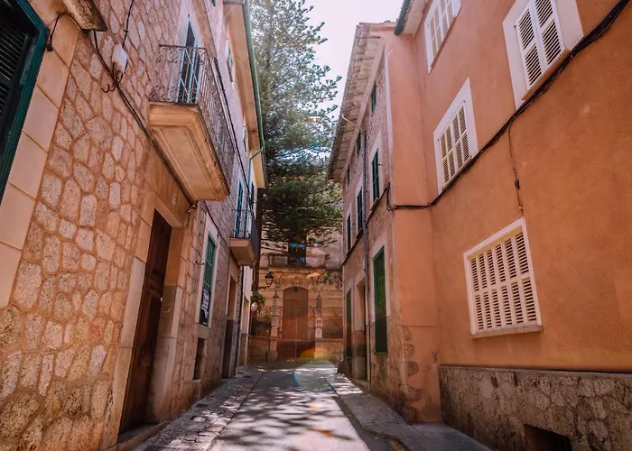 Ecocirer Healthy Stay Sóller