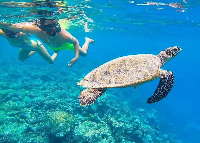Old Town Inn Maldives