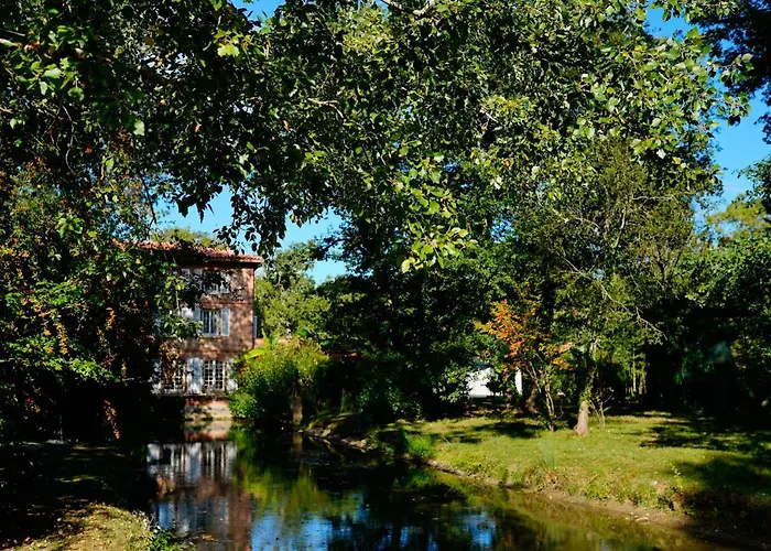 Hotels in Muret