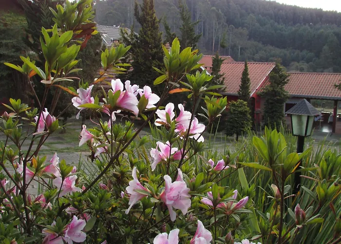 Pousada Flores Da Serra Monte Verde 