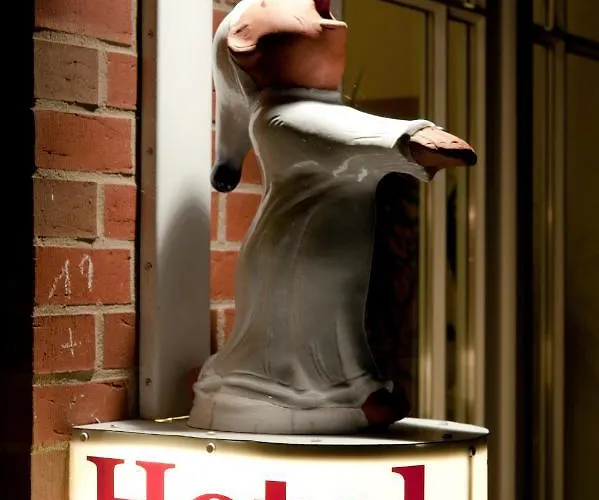 Hotels in Ankum