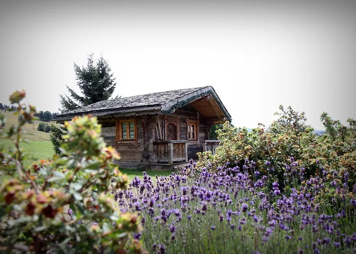 Hôtel Le Manoir des Montagnes Les Rousses