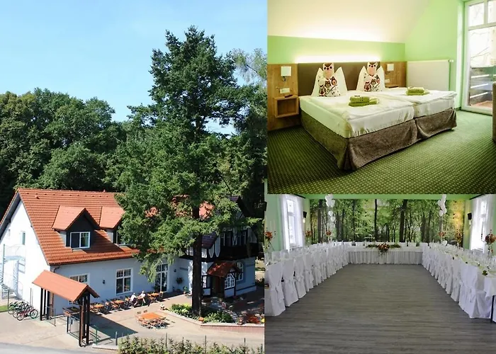Hotels in Doberlug-Kirchhain
