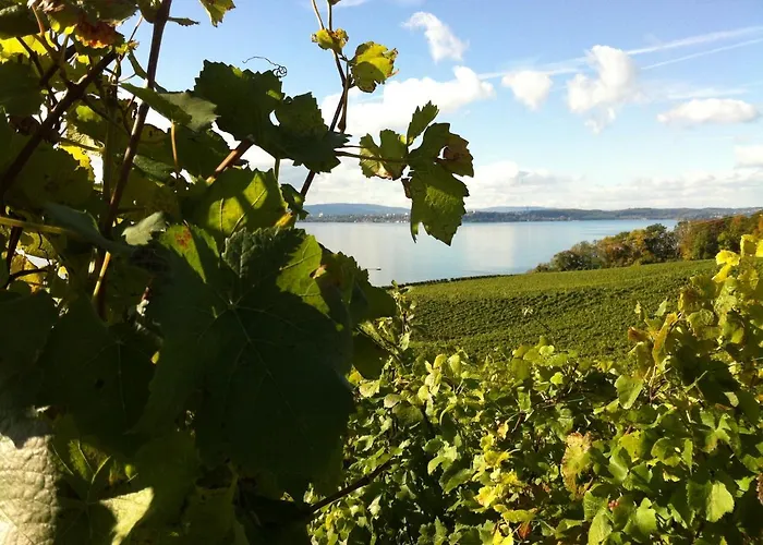 Alte Post Meersburg